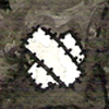 kasheesan
